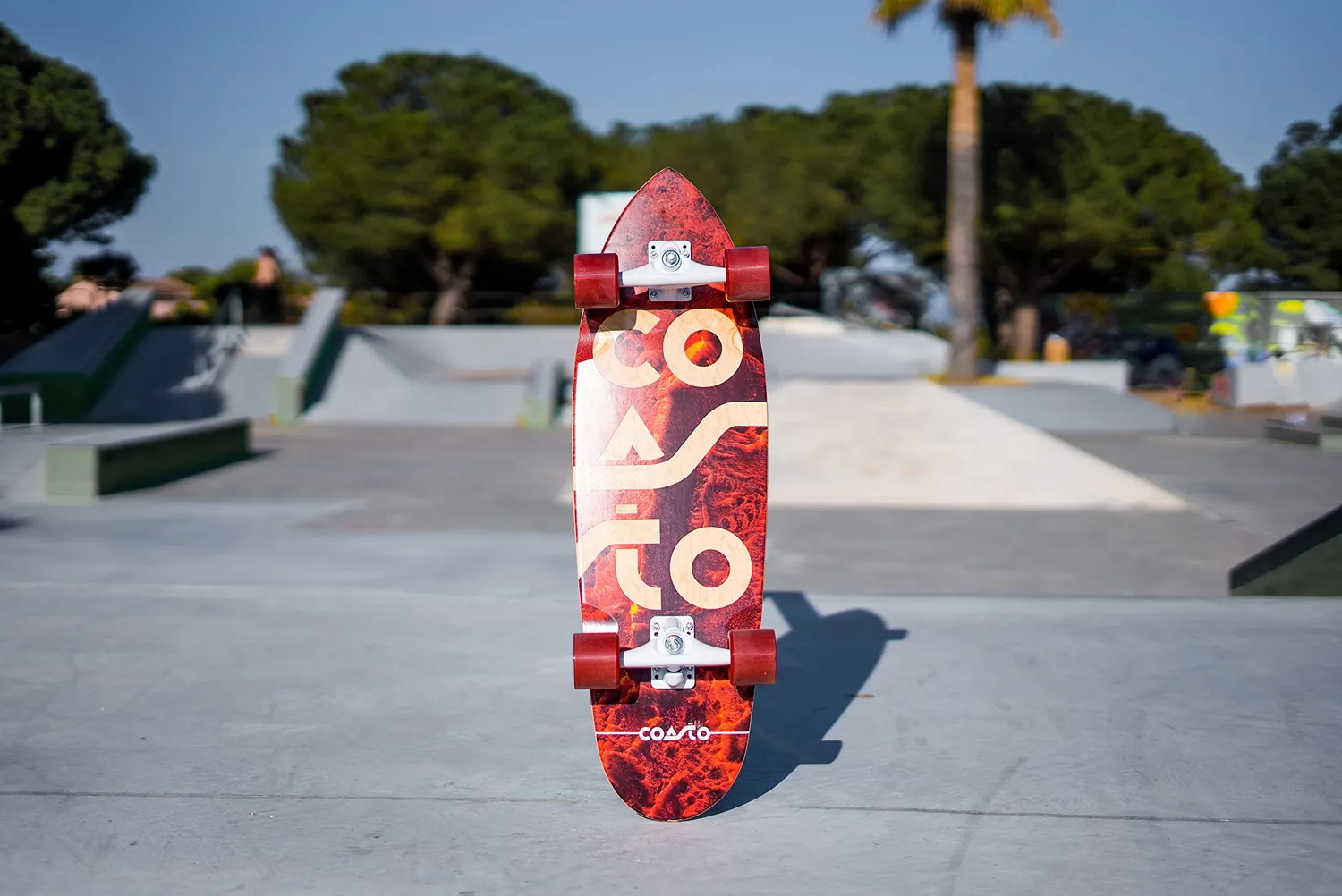 Coasto Nova 33,5" surfskate tavola acero 7 strati
